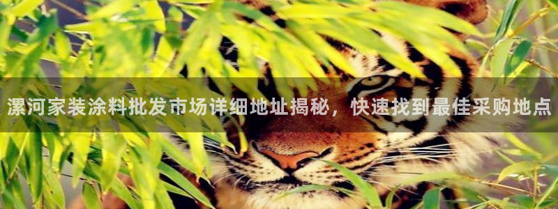 和记官网登陆：漯河家装涂料批发市场详细地址揭秘，快速找到最佳采购地点