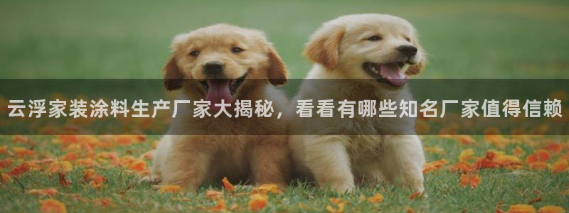和记官网：云浮家装涂料生产厂家大揭秘，看看有哪些知名厂家值得信赖