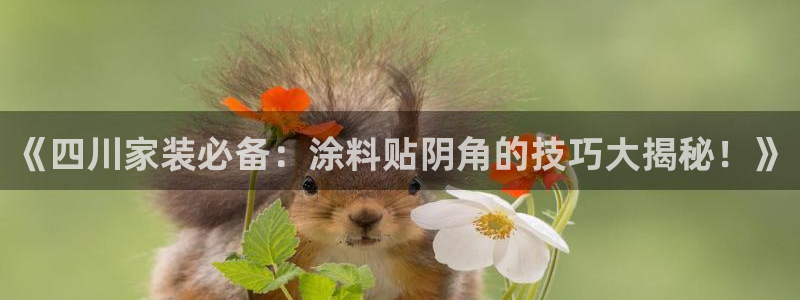 和记国际听：《四川家装必备：涂料贴阴角的技巧大揭秘！》