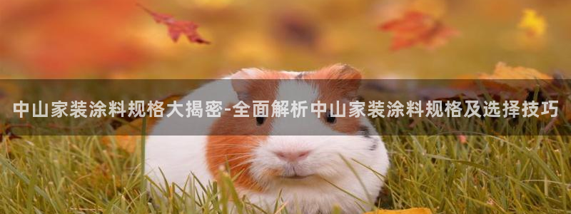 江苏和记餐饮有限公司：中山家装涂料规格大揭密-全面解析中山家装涂料规格及选择技巧