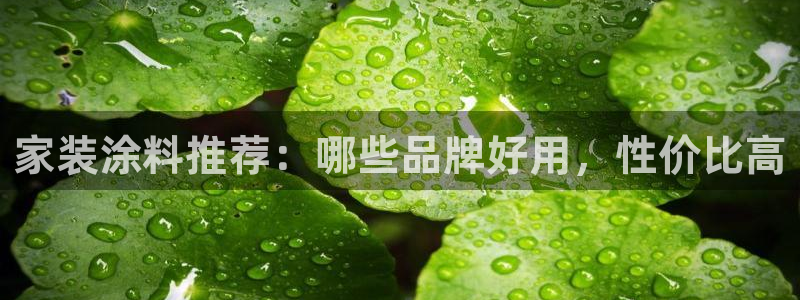 和记网页：家装涂料推荐：哪些品牌好用，性价比高