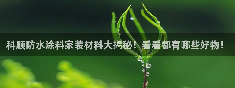 江苏和记餐饮有限公司：科顺防水涂料家装材料大揭秘！看看都有哪些好物！