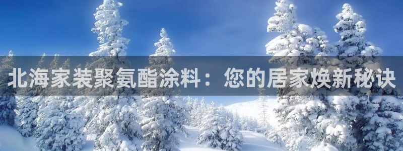 和记app官网登录：北海家装聚氨酯涂料：您的居家焕新秘诀