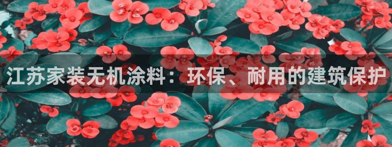 和记国际电讯市值：江苏家装无机涂料：环保、耐用的建筑保护