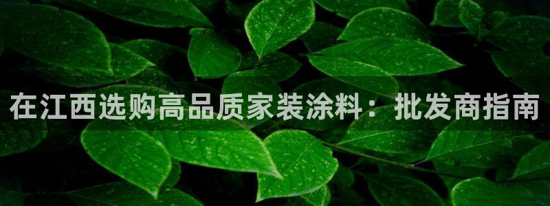 和记港口：在江西选购高品质家装涂料：批发商指南