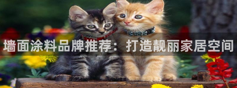 和记官方直营注册导航：墙面涂料品牌推荐：打造靓丽家居空间