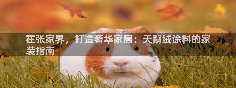 和记ag旗舰国际：在张家界，打造奢华家居：天鹅绒涂料的家
装指南