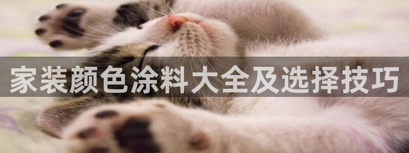 和记旗舰厅：家装颜色涂料大全及选择技巧